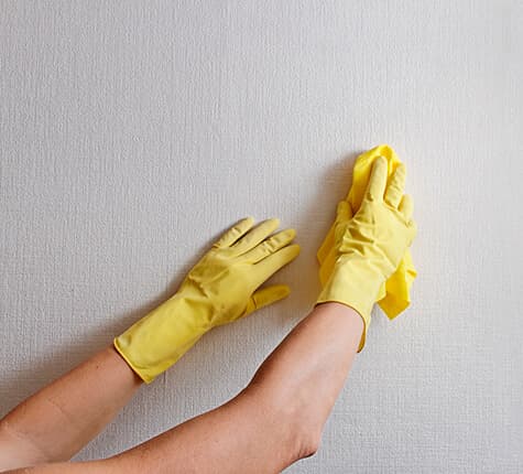 Imagem ilustrativa: pessoa limpando uma parede